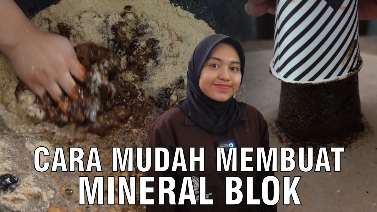
                                 Cara-Membuat-Mineral-Blok